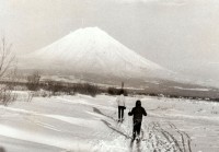1971   